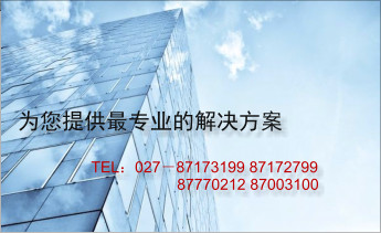 為您提供最專業的解決方案 TEL：027－87173199 87172799                      87770212 87003100